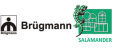 Salamander