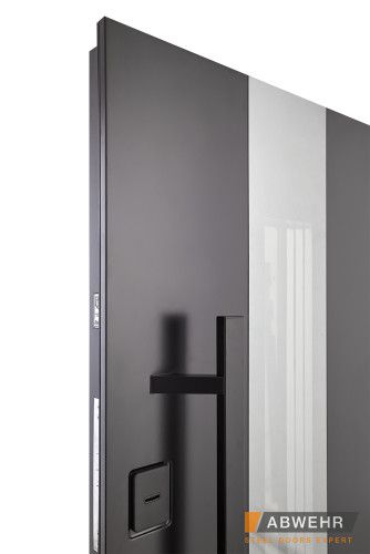 Двері з фанери модель Ufo Black (Колір RAL 9005 + Чорна шагрень) комплектація COTTAGE 1200