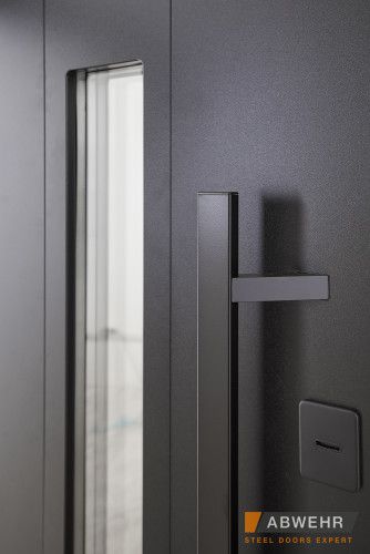 Двері з фанери модель Ufo Black (Колір RAL 9005 + Чорна шагрень) комплектація COTTAGE 1200