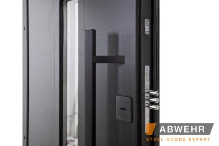 Двері з фанери модель Ufo Black (Колір RAL 9005 + Чорна шагрень) комплектація COTTAGE 1200