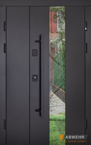 Двері з фанери модель Ufo Black (Колір RAL 9005 + Чорна шагрень) комплектація COTTAGE 1200