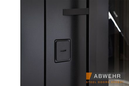 Вхідні двері з терморозривом модель Ufo Black (Колір RAL 9005 + Чорна шагрень) комплектація COTTAGE