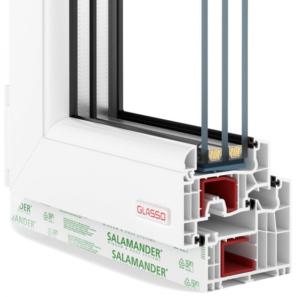 Salamander BlueEvolution 92